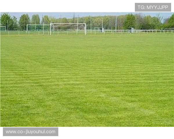 围绕大安乡足球场的周边设施与特色资源全景深度探索指南详解篇集